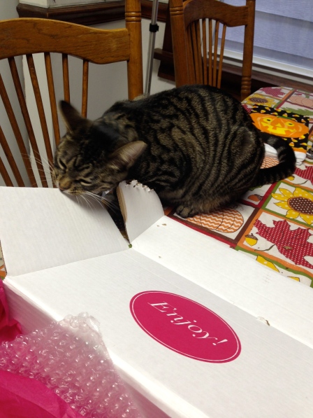 Aria just lovin' on the box